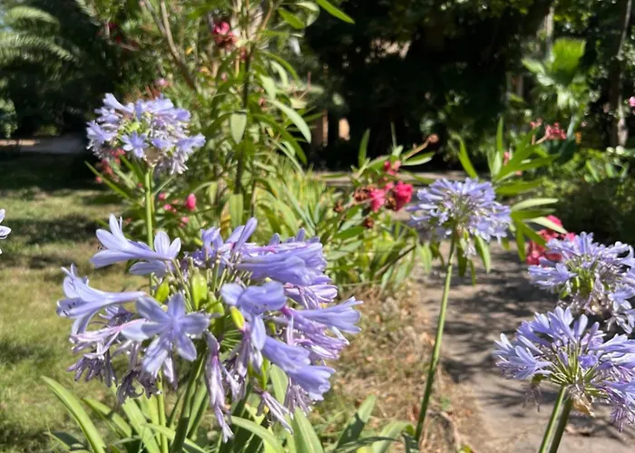 Le Repaire Magique アパート